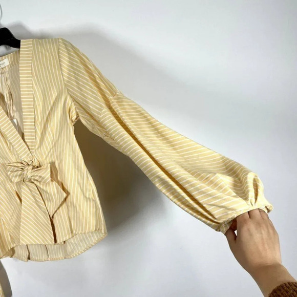 Petersyn Elinor Top NWT Plunging Neckline Long Sleeve Pleated Blouse Size XS - Picture 6 of 14